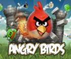 Angry Πουλιά Rovio είναι ένα video game. Angry πουλιά επίθεση των χοίρων που κλέβουν τα αυγά